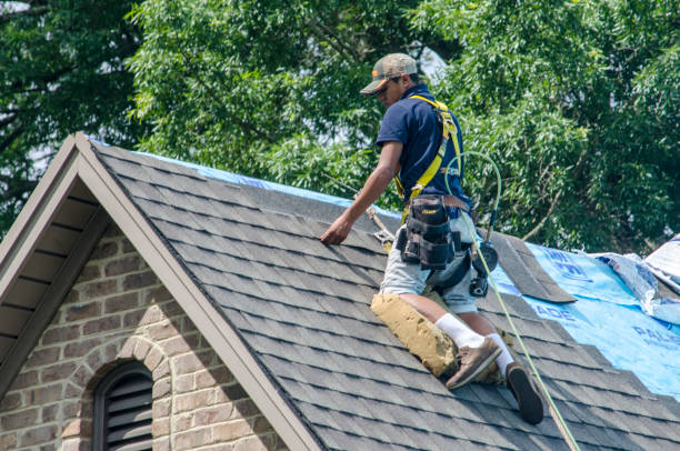 Best Metal Roofing Contractor  in Richland, MS